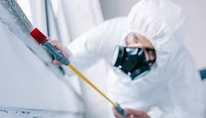 Best Real Estate Pest Inspections  in Greenwood, DE